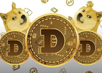 Dogecoin будут принимать в кафе и кинотеатре компании Tesla