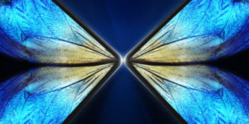 Раскрыты характеристики смартфона с гибким дисплеем Vivo X Fold