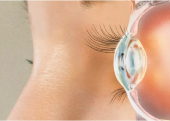 Стартап экс-президента Neuralink создал глазной имплантат Science Eye для лечения слепоты