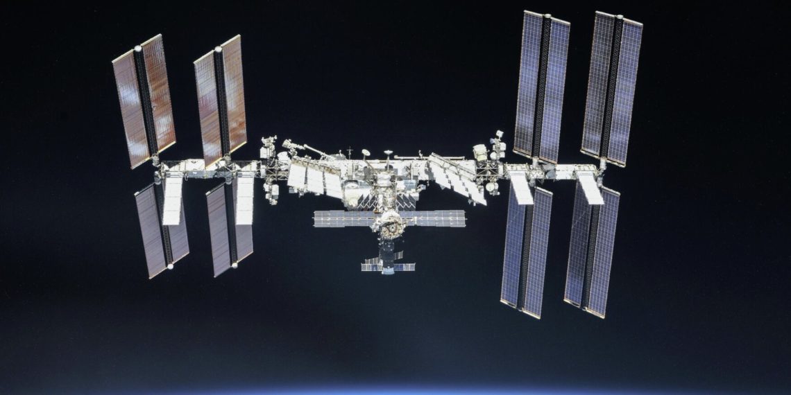 Проект грибной фермы для МКС разработали в Сибирском университете