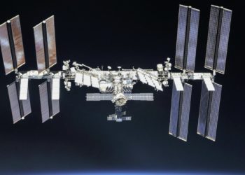 Проект грибной фермы для МКС разработали в Сибирском университете