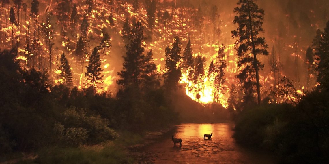 Разработан беспилотник с искусственным интеллектом для тушения пожаров