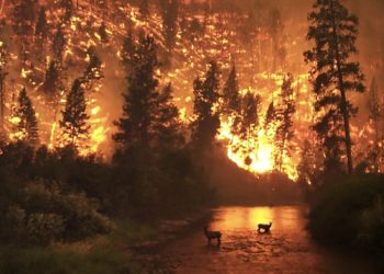 Разработан беспилотник с искусственным интеллектом для тушения пожаров