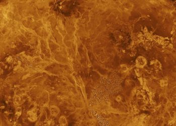 Соучредитель OceanGate планирует колонизировать Венеру