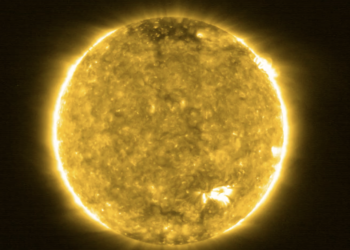 Марсоход Perseverance обнаружил большое пятно на Солнце