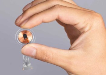 Neuralink начала набор добровольцев для теста мозгового чипа