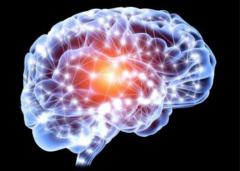 Ткани головного мозга напечатали на 3D-принтере