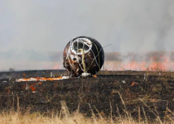 Российский биоспутник «Бион-М» №2 вернулся на Землю с живыми организмами на борту